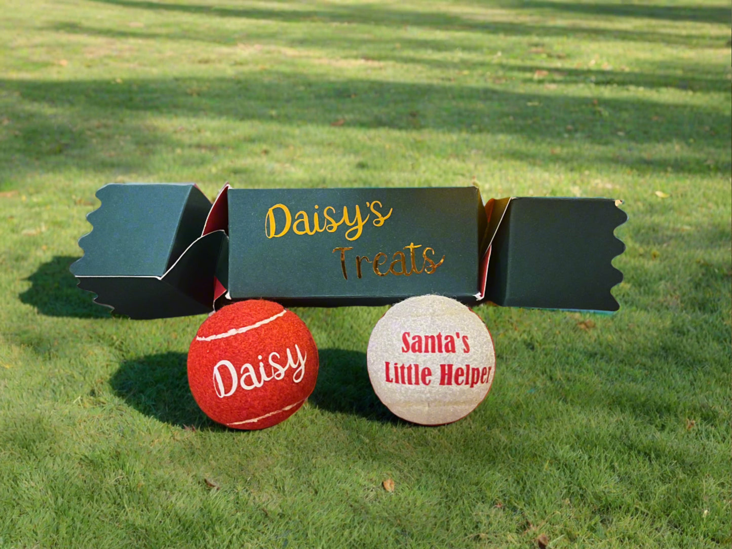 NTB - Personalised Dog balls - Christmas Cracker