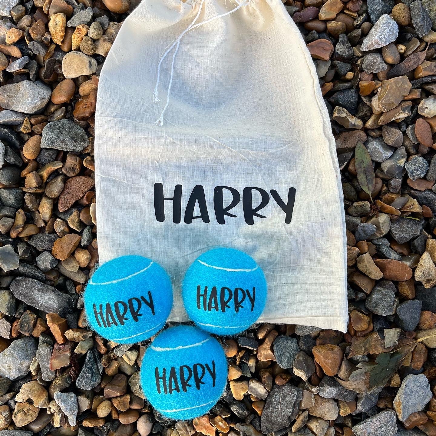 NTB -Personalised Dog balls - BLUE Edition