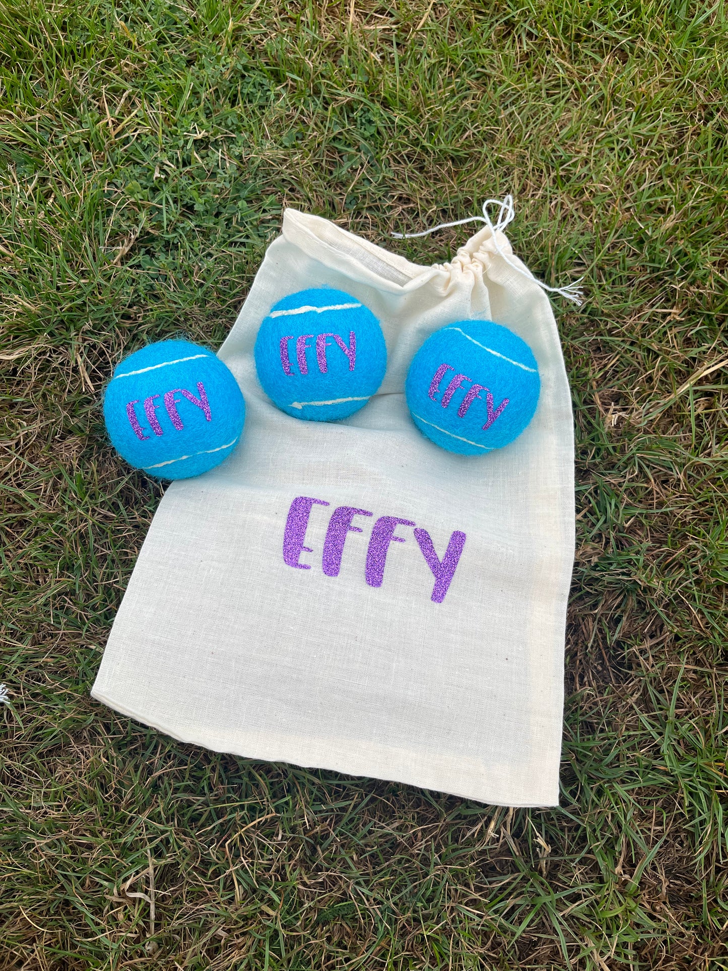 NTB -Personalised Dog balls - BLUE Edition