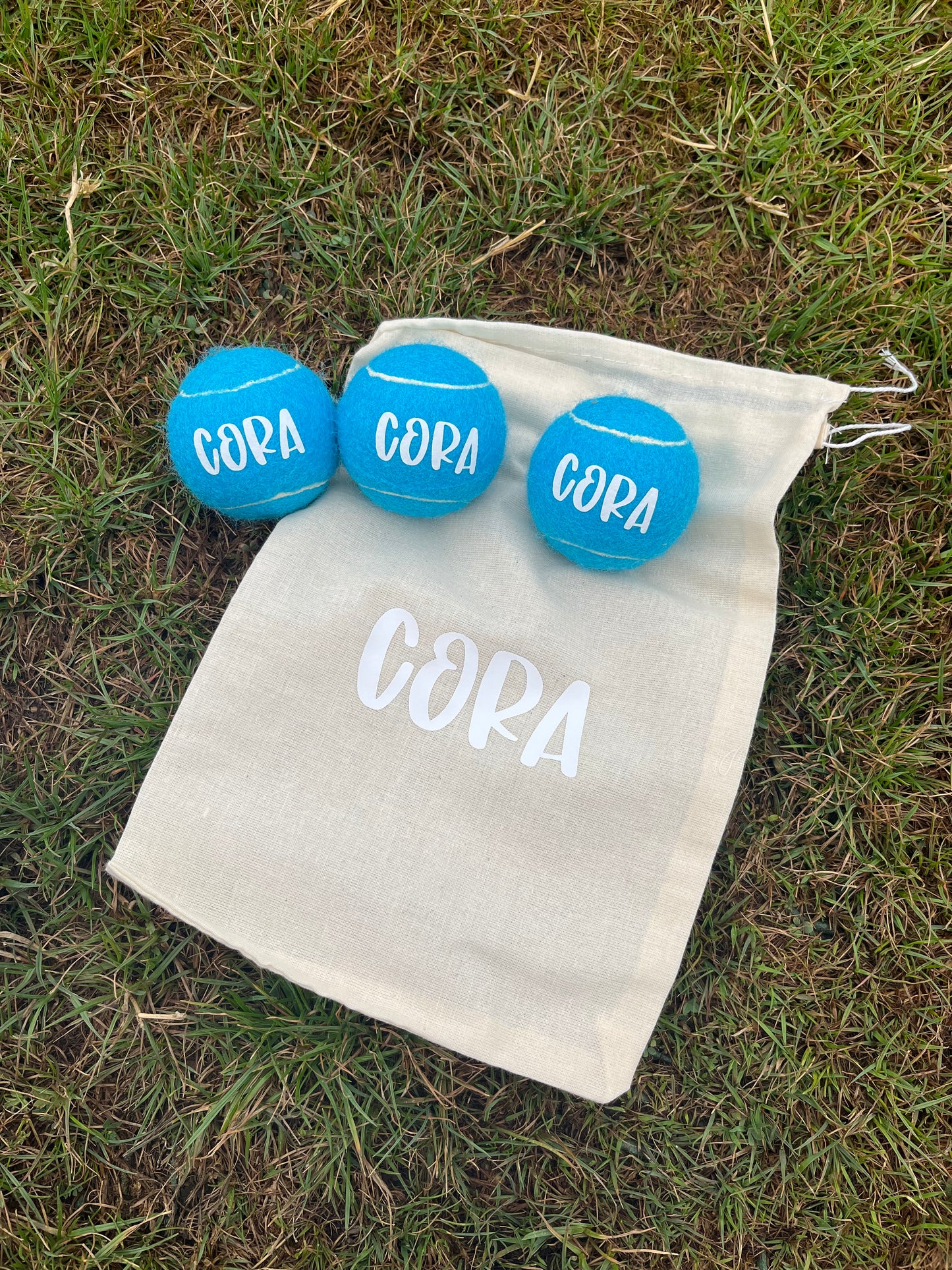 NTB -Personalised Dog balls - BLUE Edition