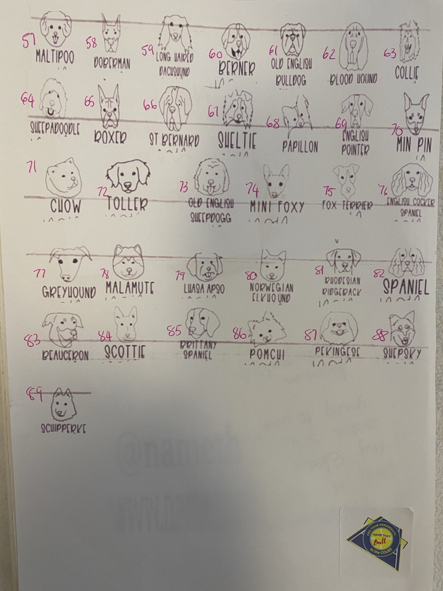 NTB - Personalised dog balls - Puppy faces