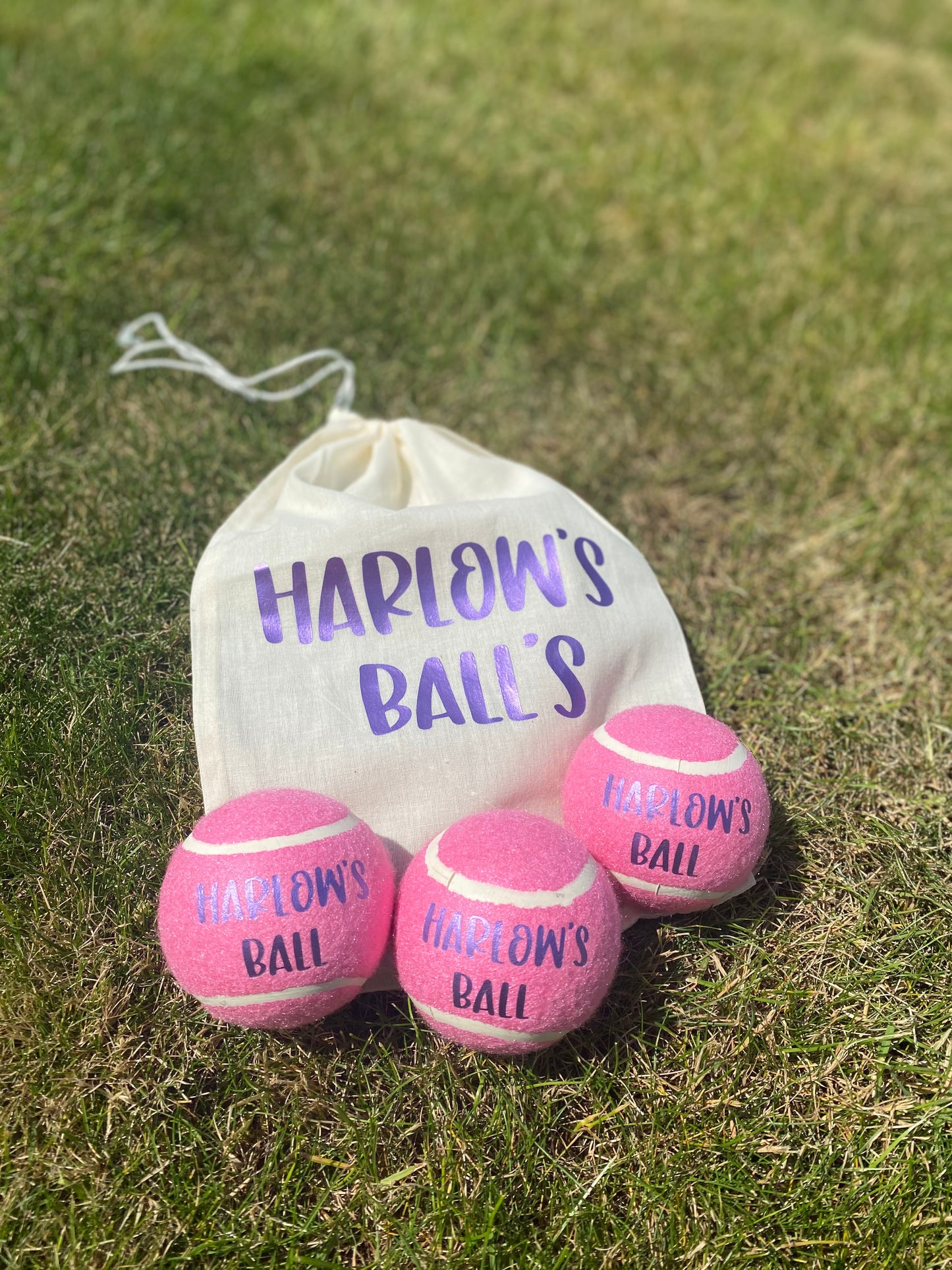 NTB - Personalised Dog Balls - PINK Edition