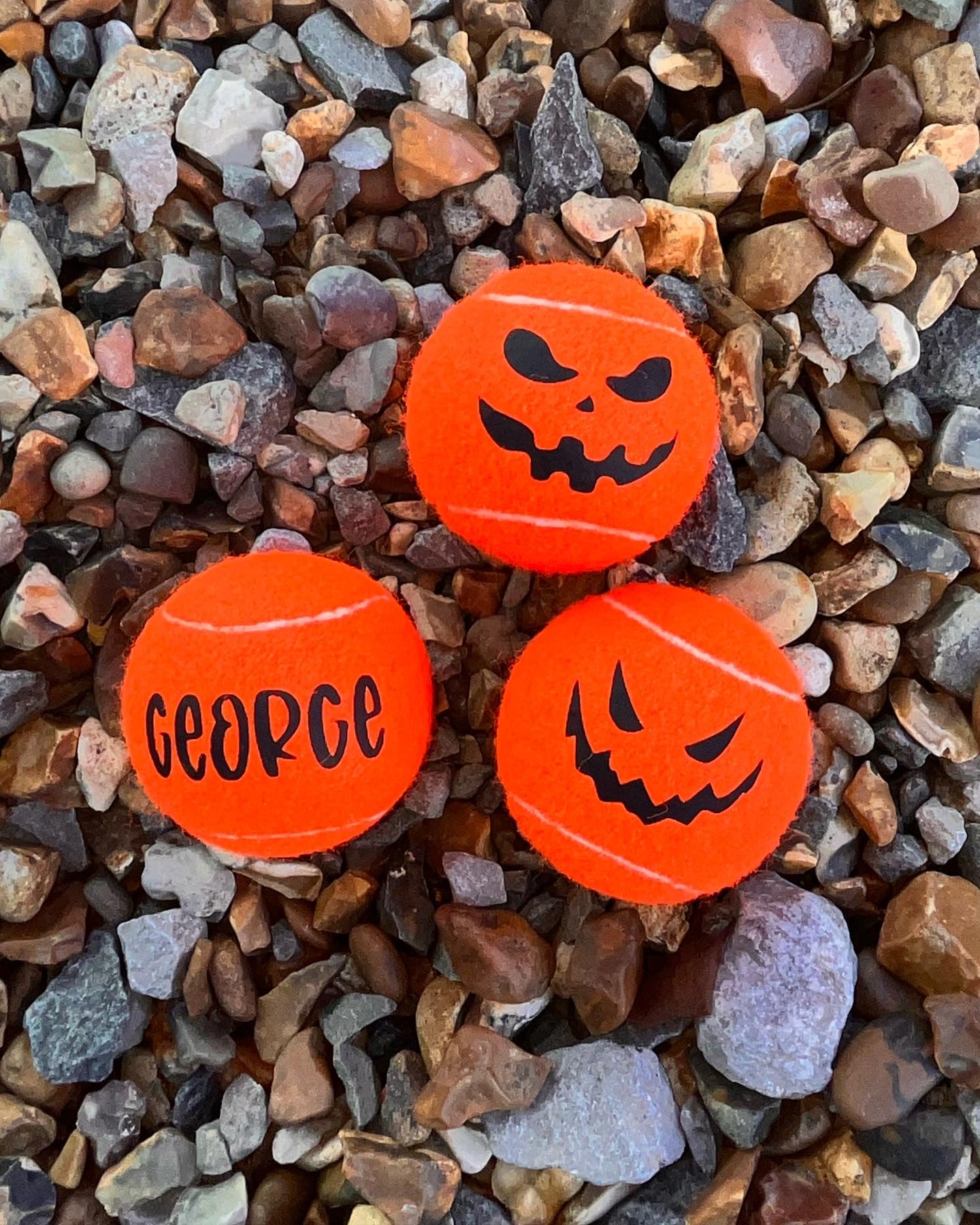 NTB - Personalised Dog balls - Halloween Pumpkin