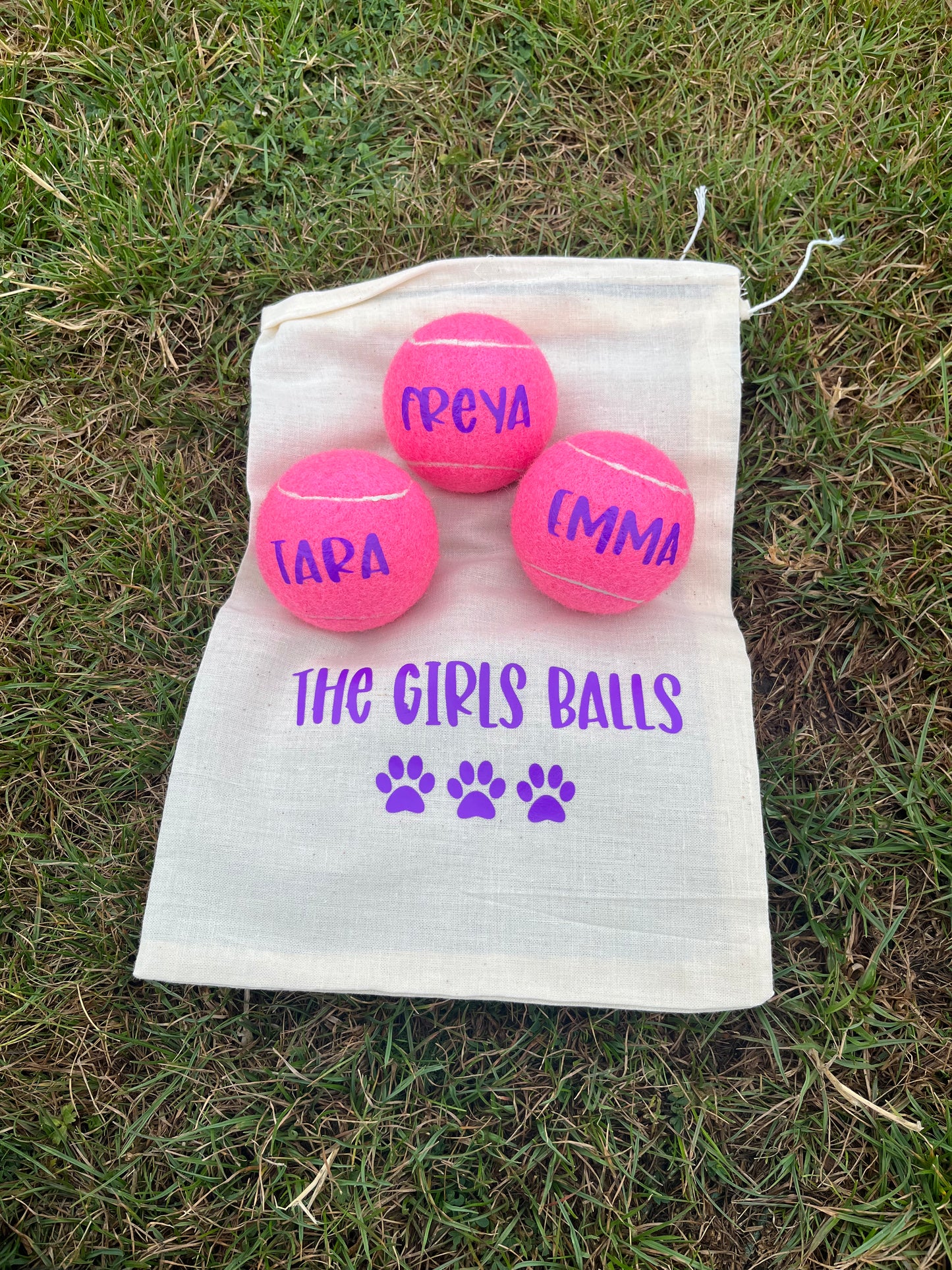 NTB - Personalised Dog Balls - PINK Edition