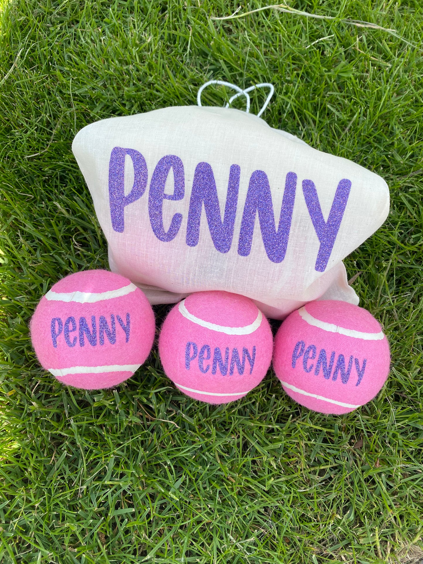 NTB - Personalised Dog Balls - PINK Edition