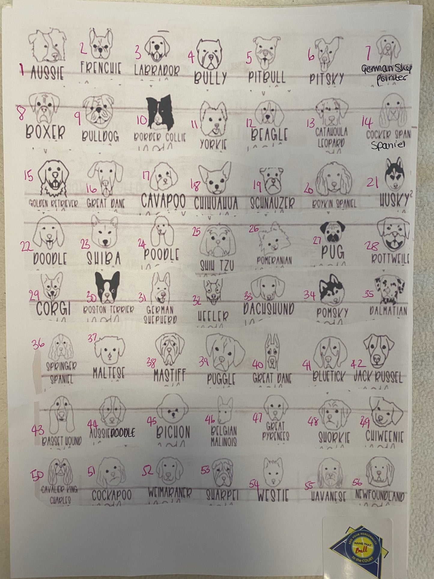 NTB - Personalised dog balls - Puppy faces