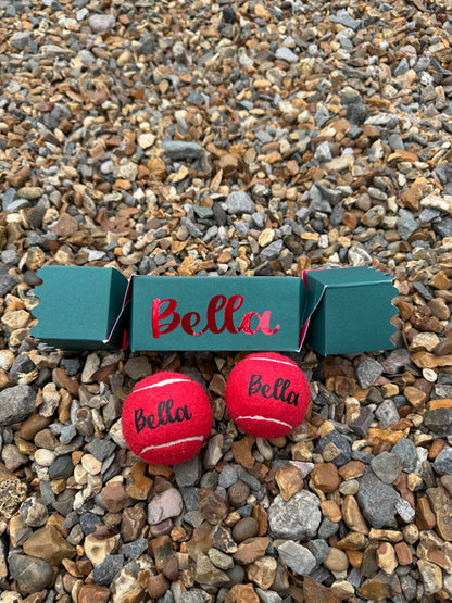 NTB - Personalised Dog balls - Christmas Cracker