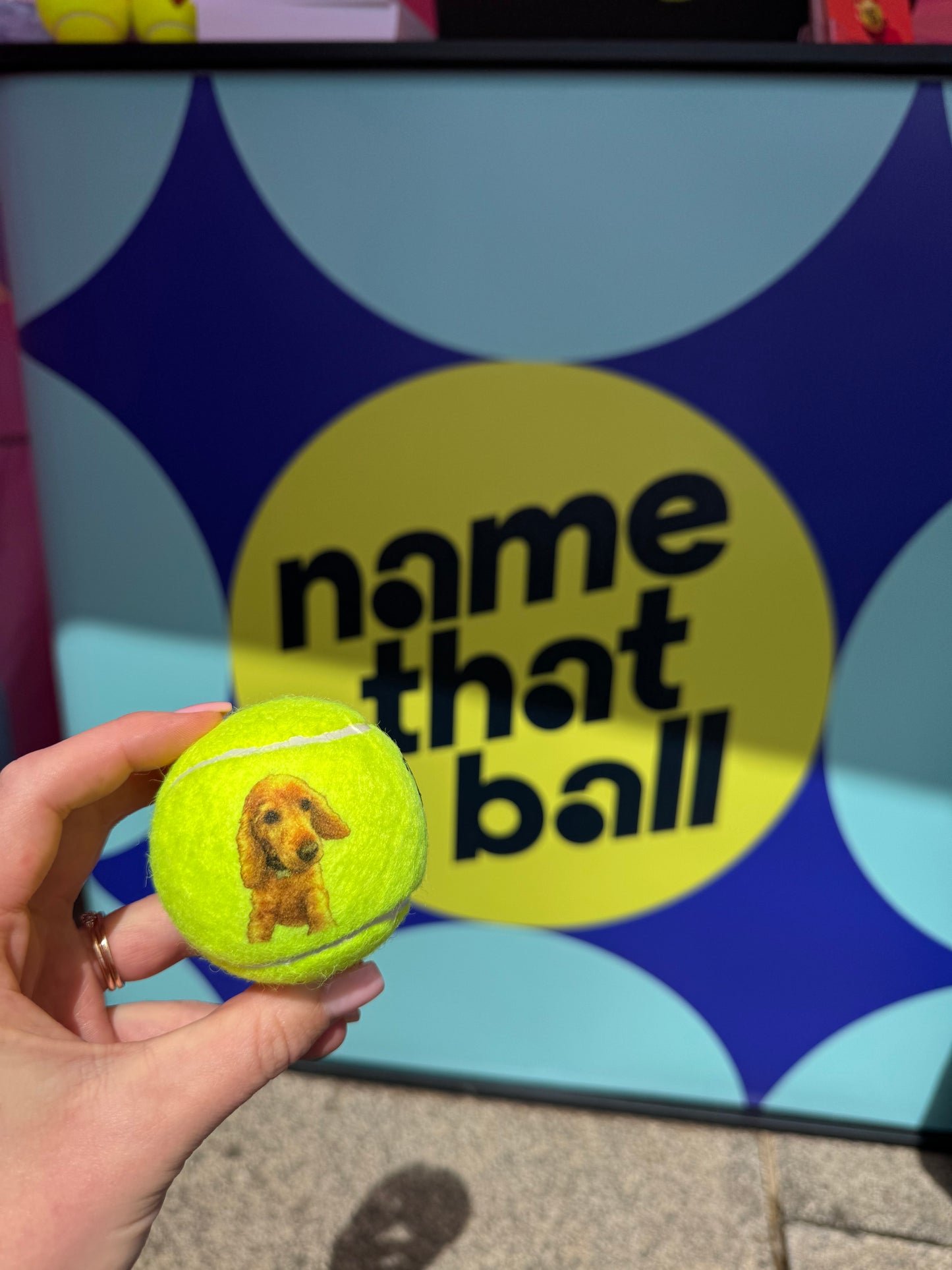 Namethatball - Personalised Tennis balls - Add your own photo