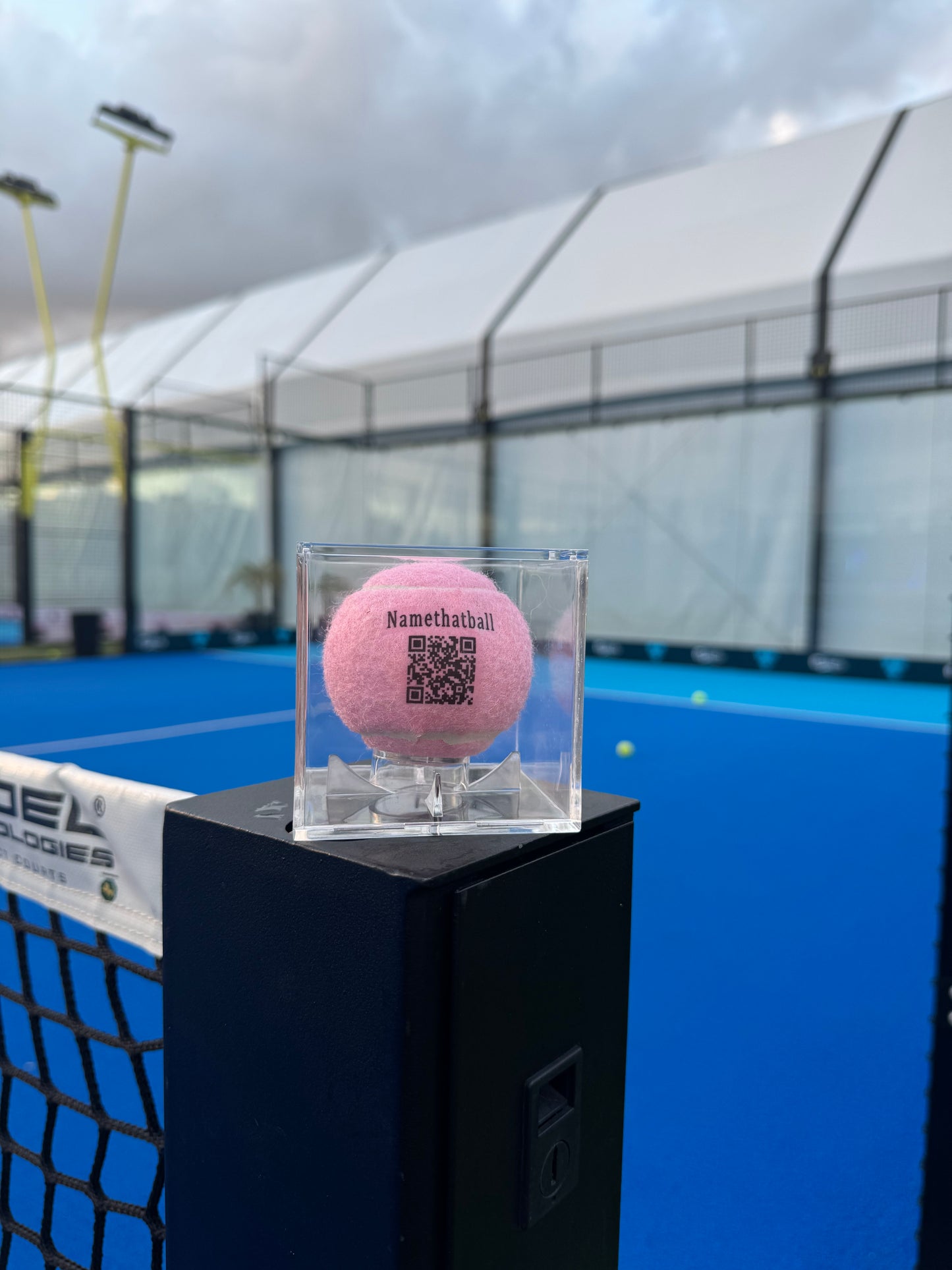 Namethatball - Custom tennis ball in trophy case