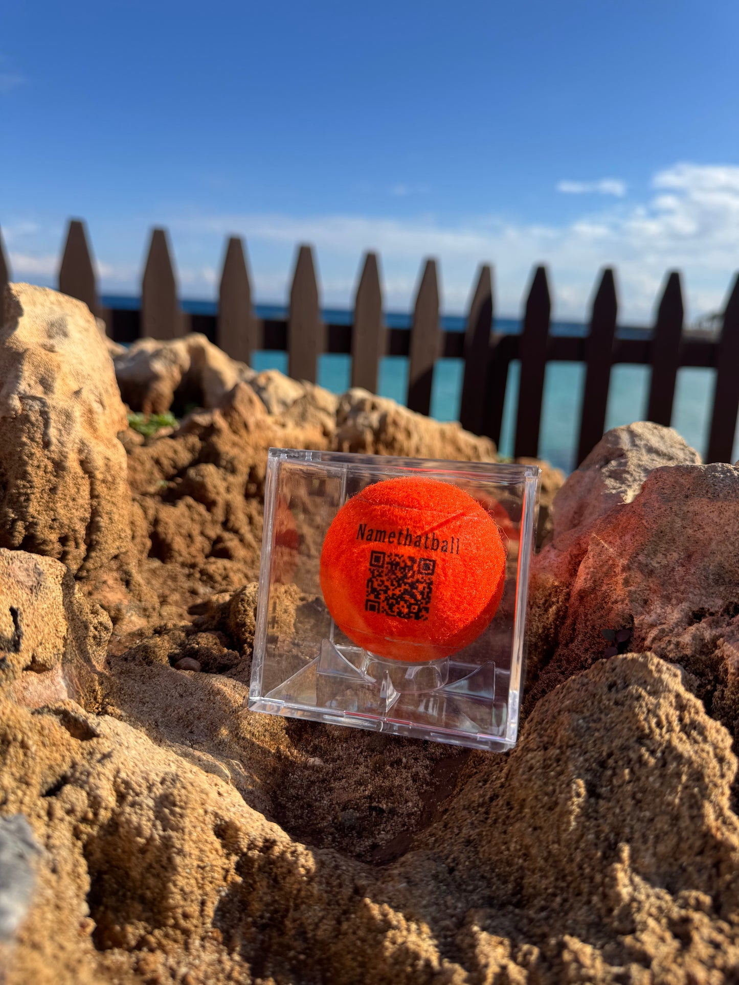 Namethatball - Custom tennis ball in trophy case