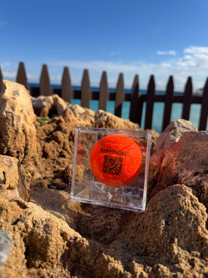 Namethatball - Custom tennis ball in trophy case