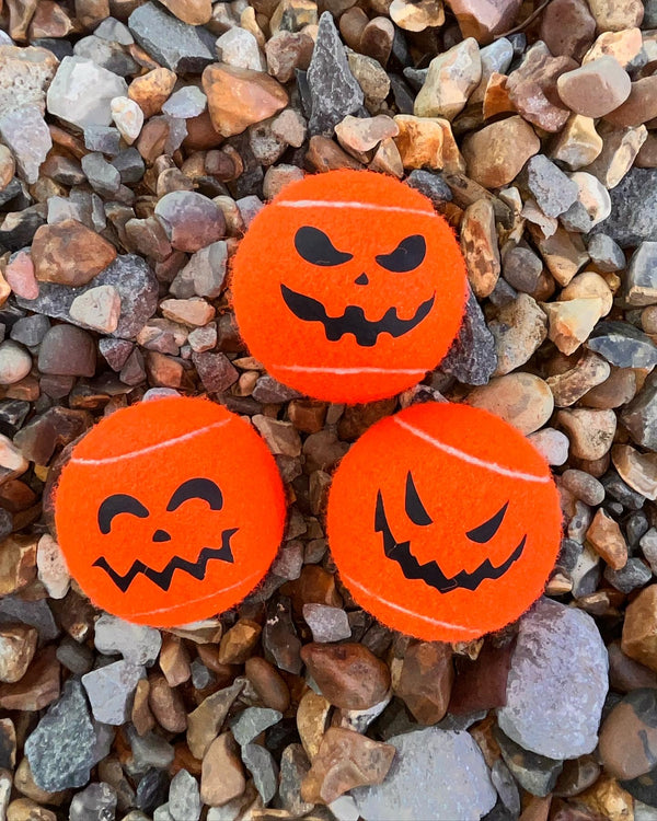 NTB - Personalised Dog balls - Halloween Pumpkin